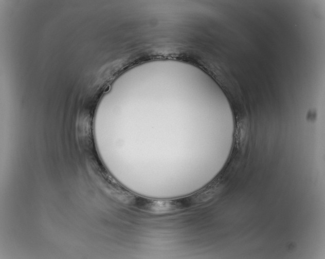 X0000113140623200909251306