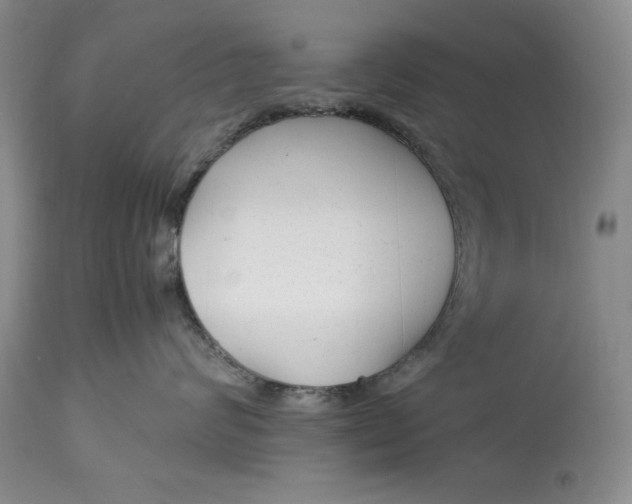 X0000113140624200909251306