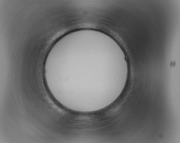 X0000113140625200909251305