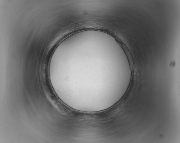 X0000113140626200909251305