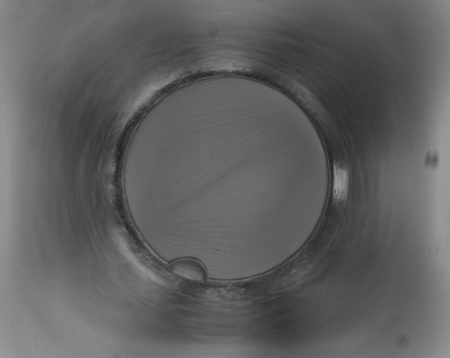 X0000113140627200909251305