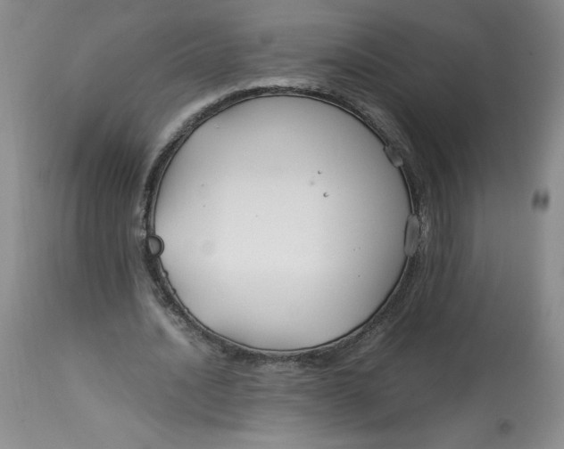 X0000113140628200909251305