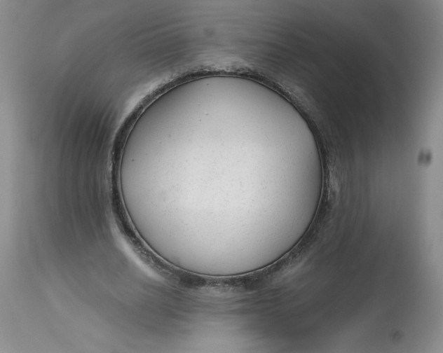 X0000113140630200909251305