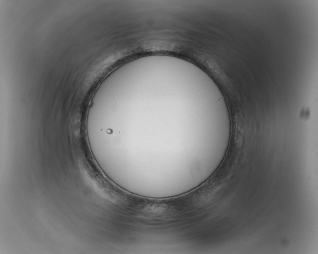 X0000113140631200909251305