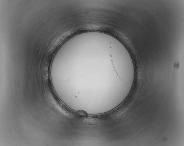 X0000113140633200909251305