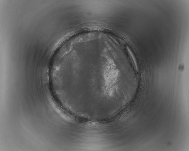 X0000113140634200909251305