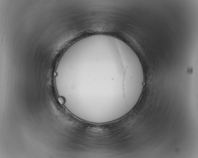 X0000113140635200909251305