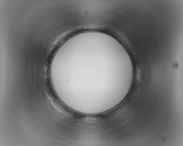 X0000113140636200909251305