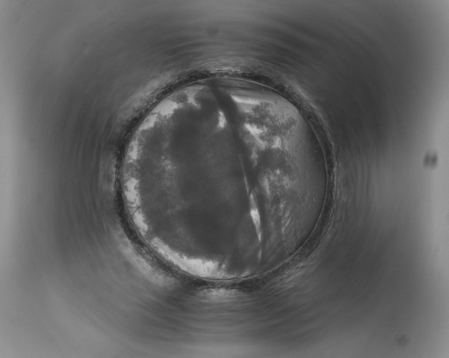 X0000113140637200909251305