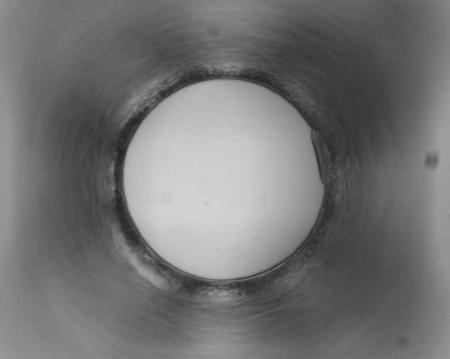 X0000113140638200909251305