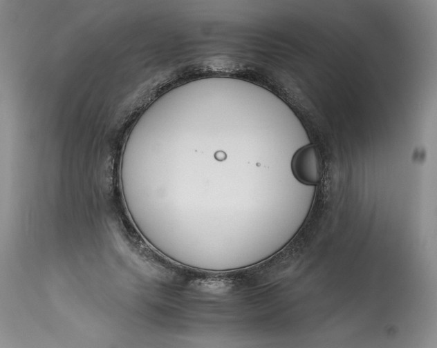 X0000113140639200909251305