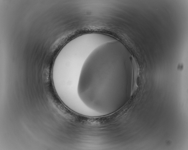 X0000113140640200909251305