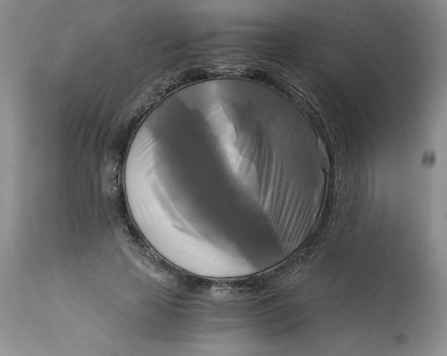 X0000113140641200909251305