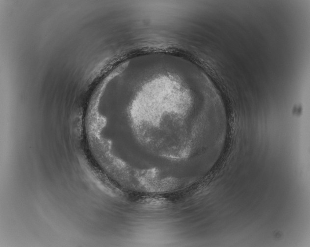 X0000113140642200909251305