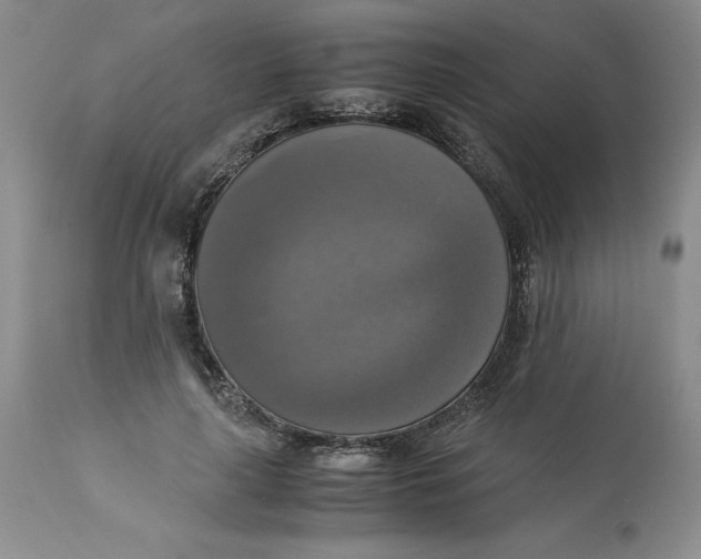 X0000113140643200909251305