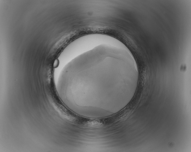 X0000113140644200909251305