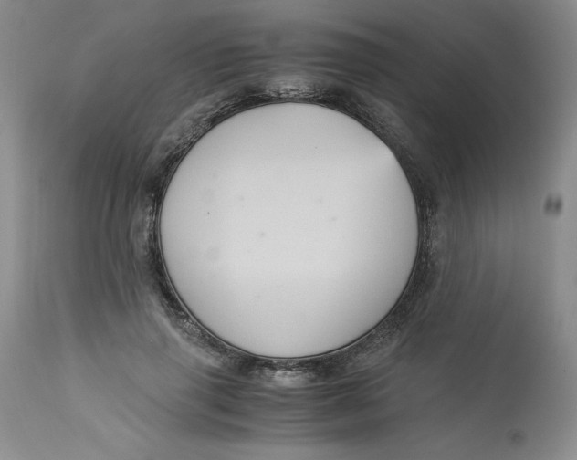 X0000113140645200909251305