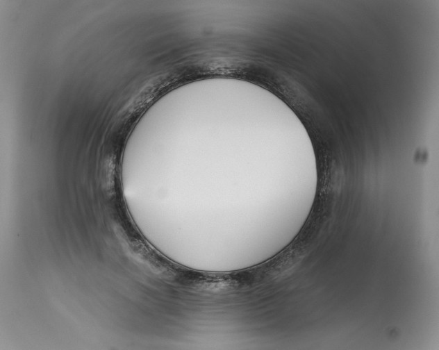 X0000113140646200909251305