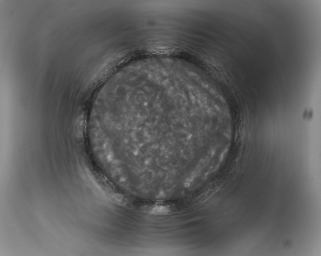 X0000113140647200909251305