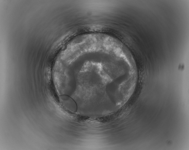 X0000113140648200909251305