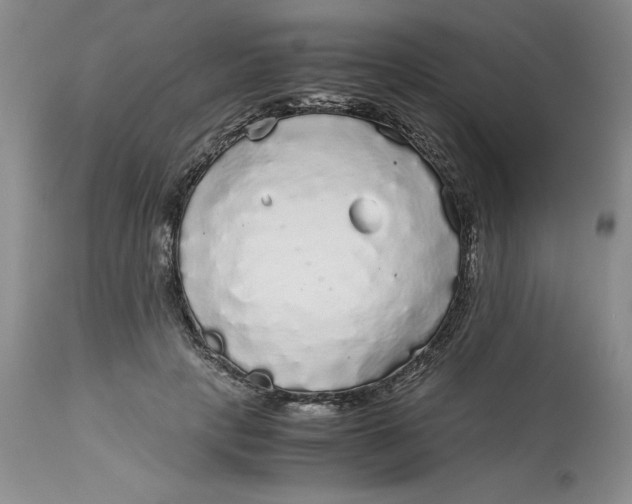 X0000113140649200909251305