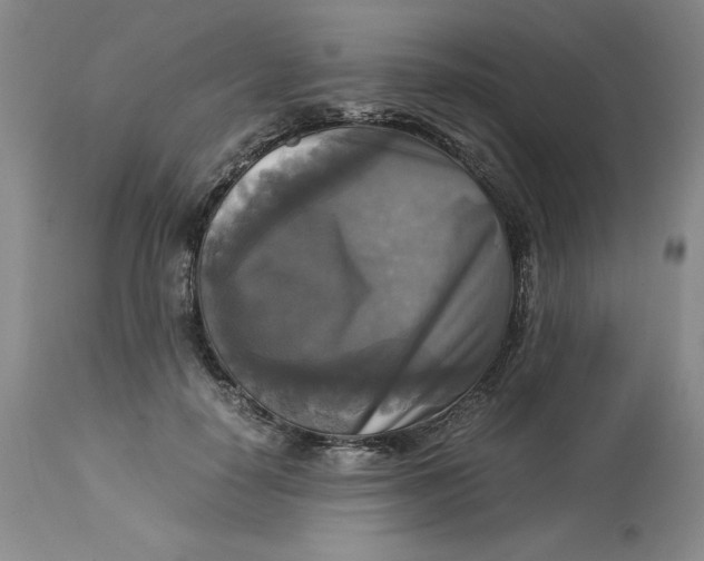 X0000113140650200909251305