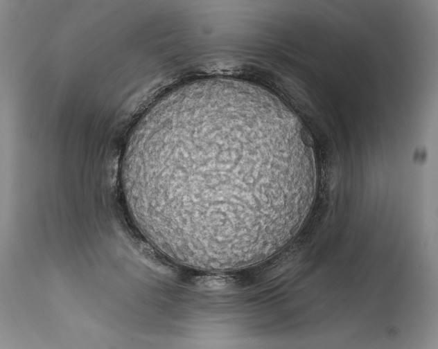 X0000113140652200909251305