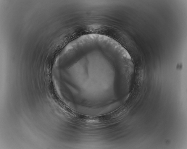 X0000113140653200909251305