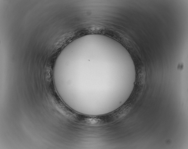 X0000113140654200909251305