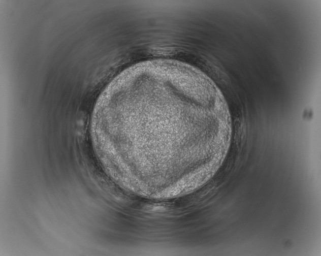 X0000113140655200909251305