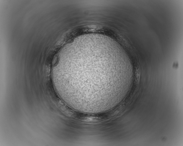 X0000113140657200909251305