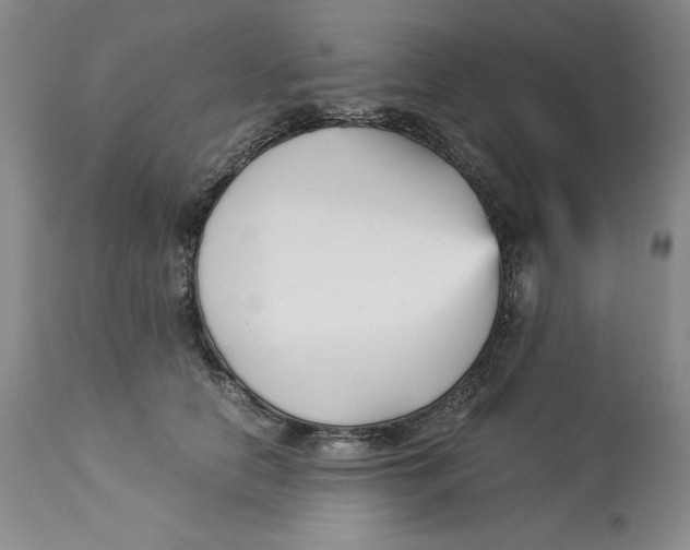 X0000113140658200909251305