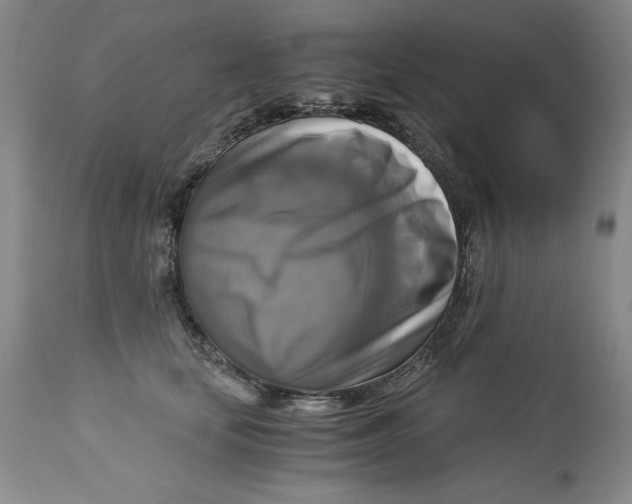 X0000113140659200909251305