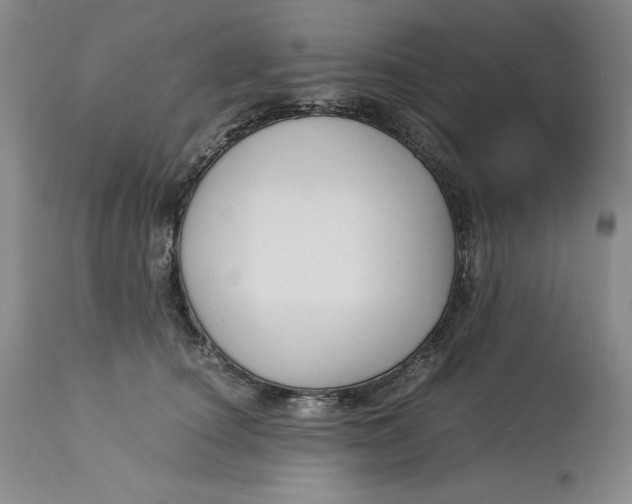 X0000113140660200909251305