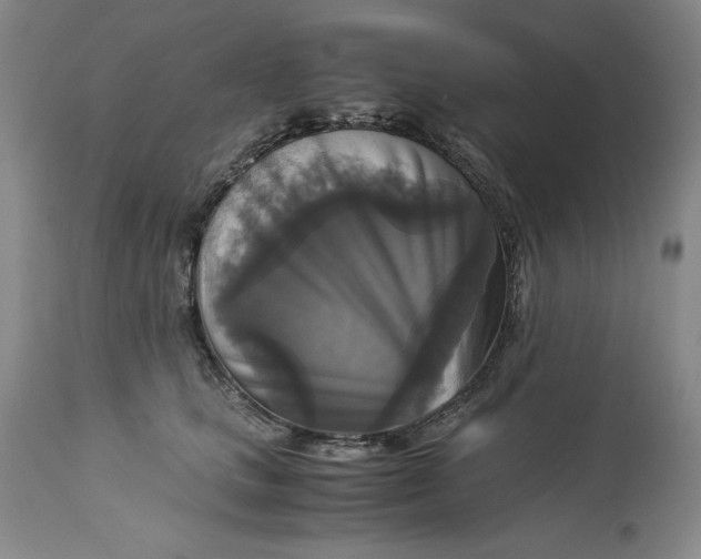 X0000113140661200909251305