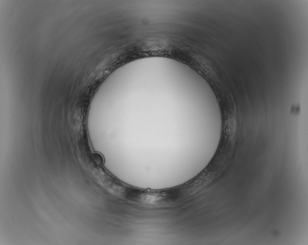 X0000113140662200909251305