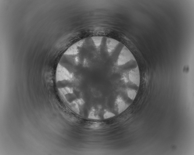 X0000113140663200909251305