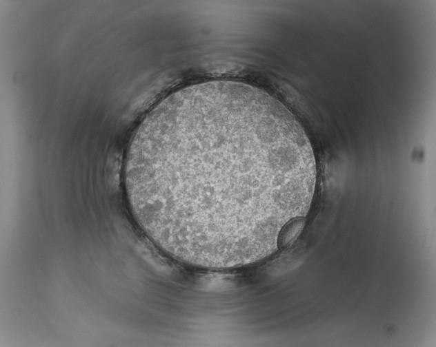 X0000113140664200909251305