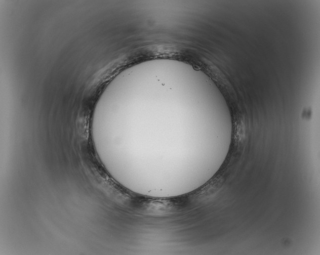 X0000113140666200909251306