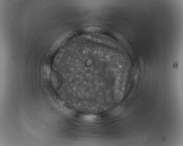 X0000113140669200909251306