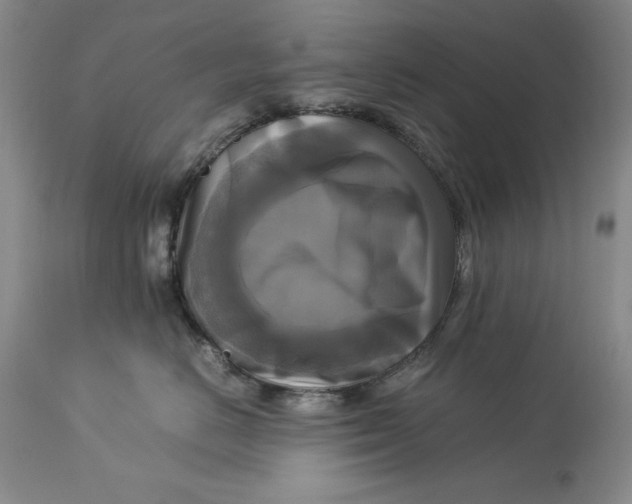 X0000113140670200909251306