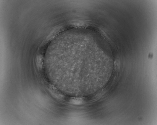 X0000113140671200909251306