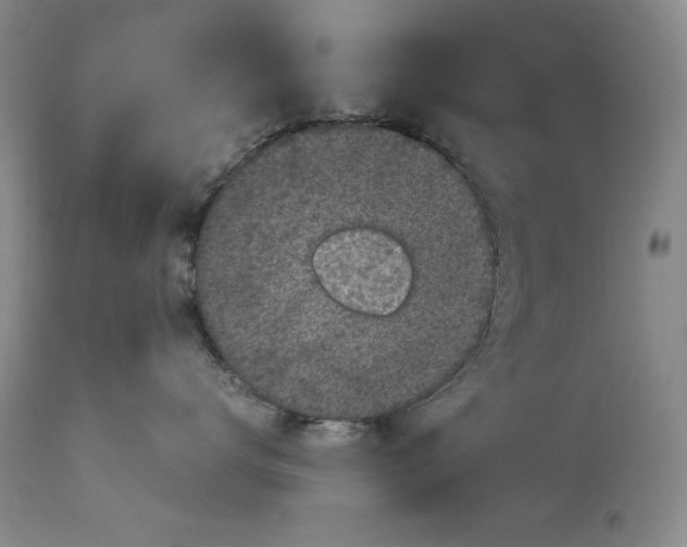 X0000113140672200909251306