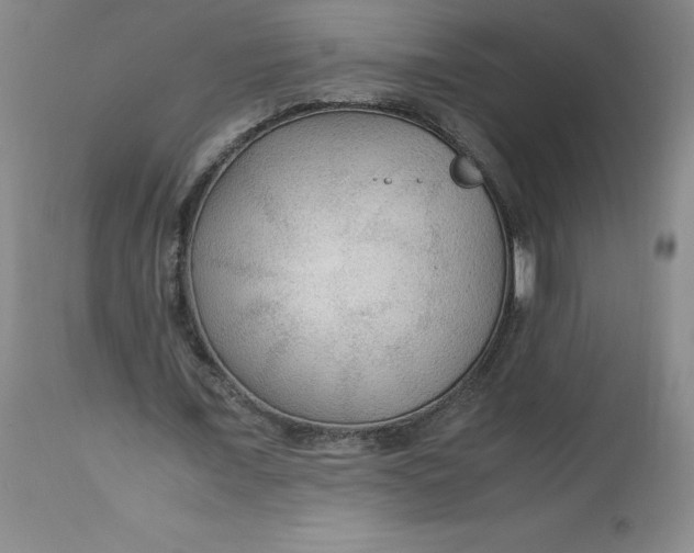 X0000113140675200909251305