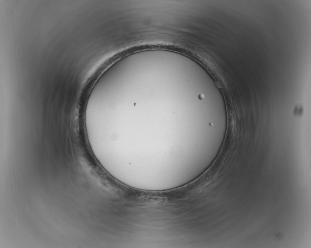 X0000113140676200909251305