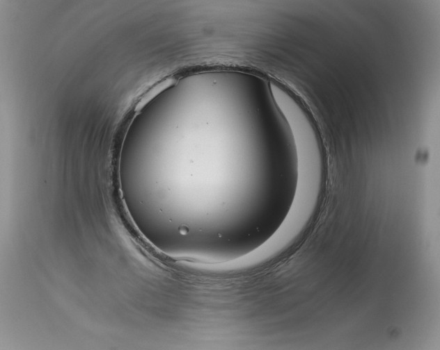 X0000113140677200909251305