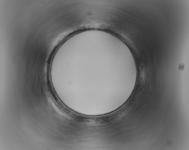 X0000113140678200909251305