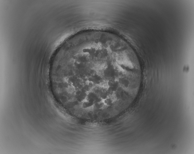 X0000113140679200909251305