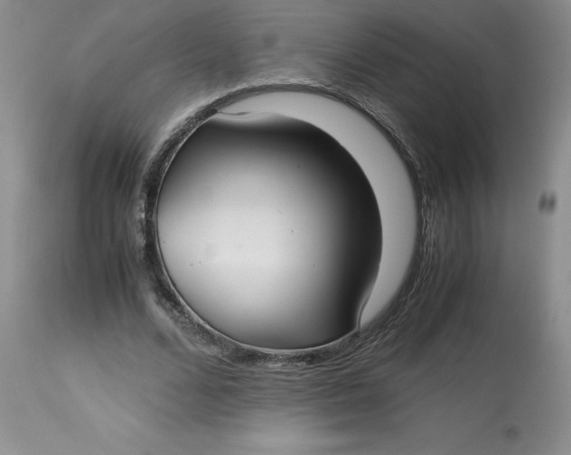 X0000113140680200909251305