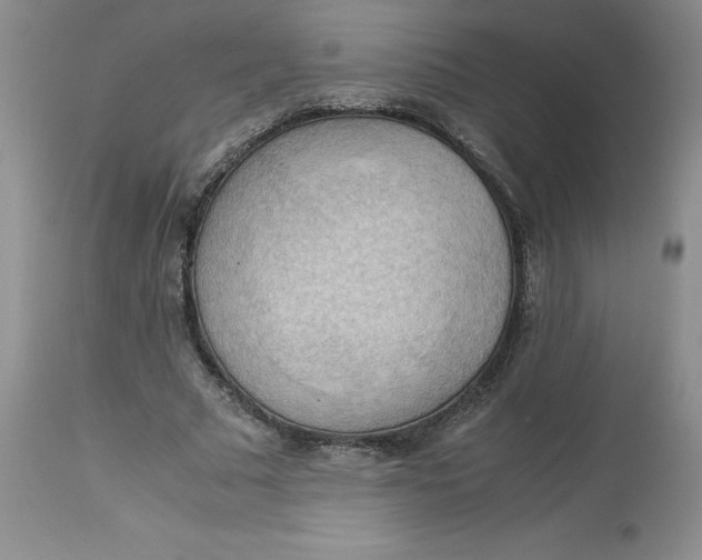 X0000113140681200909251305